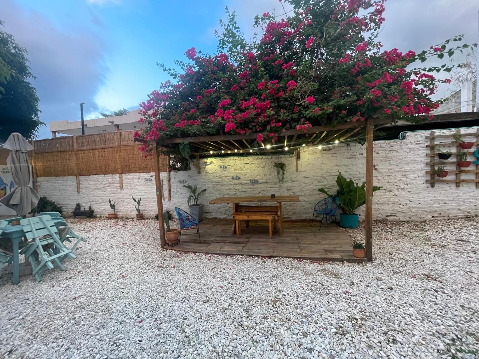 فندق White تاجانجا المظهر الخارجي الصورة